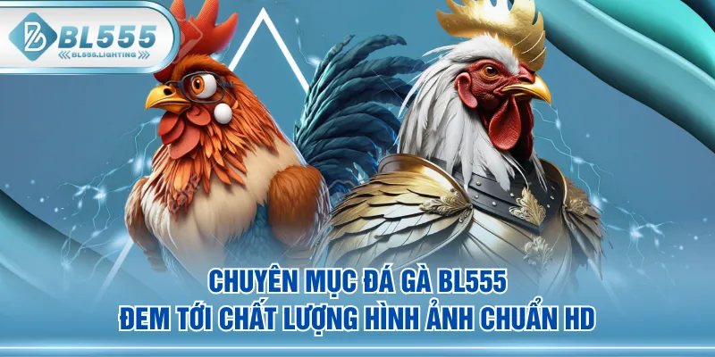 Chuyên mục Đá Gà BL555 đem tới chất lượng hình ảnh chuẩn HD