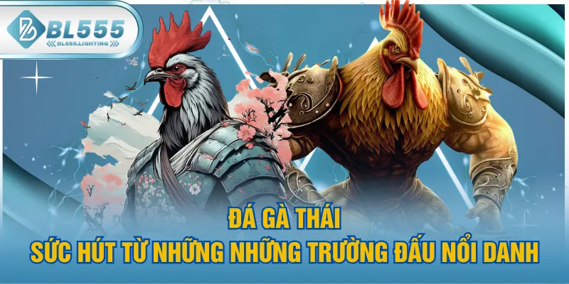 Đá Gà Thái - Sức Hút Từ Những Những Trường Đấu Nổi Danh