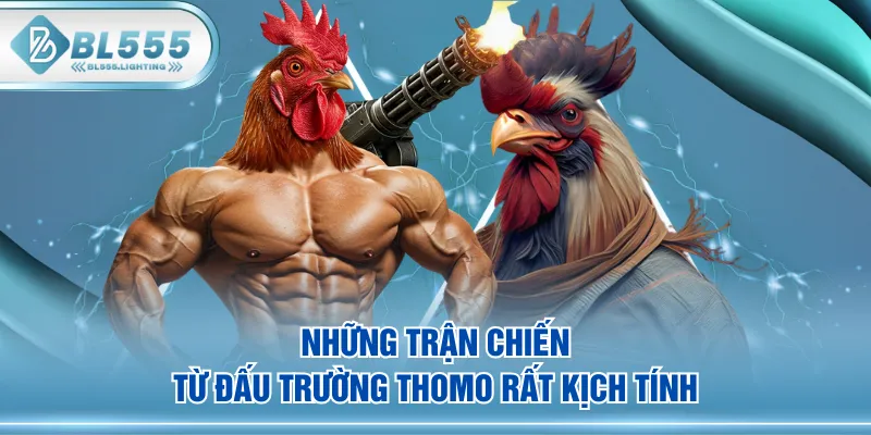 Những trận chiến từ đấu trường Thomo rất kịch tính